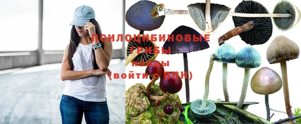 спайс Карпинск