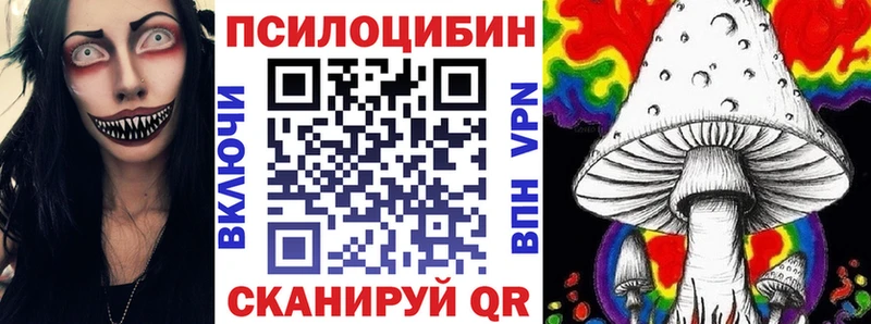 Купить  Бирюсинск  Псилоцибиновые грибы Psilocybine cubensis 